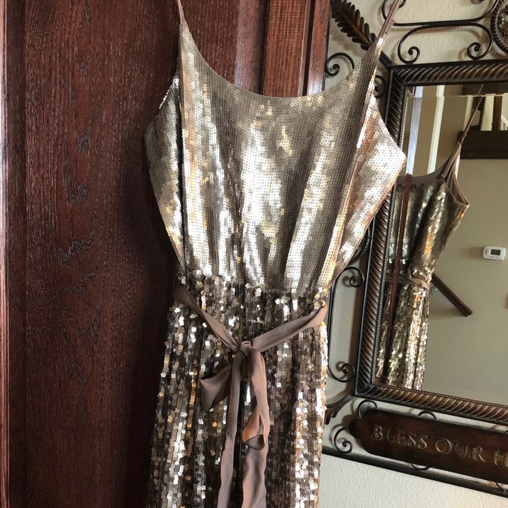 Express sequin dress